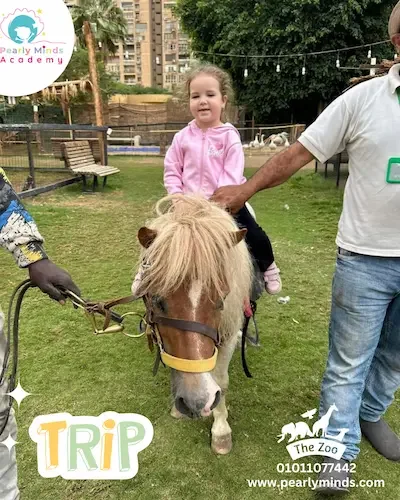 Jungle Joy Park Trip